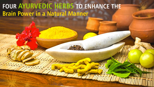 Four Ayurvedic Herbs To Enhance The Brain Power In A Natural Manner