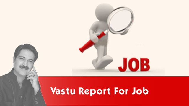 Vastu report for job