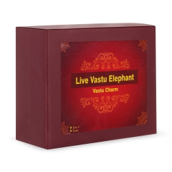 Live Vastu Elephant Model 3