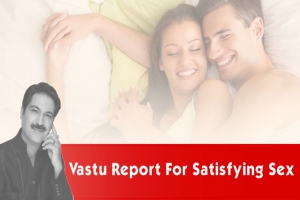 Vastu report  for satisfying sex