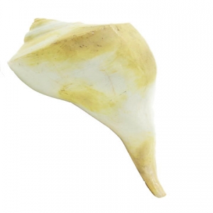 Vallampanti Dahinawarti Shankh