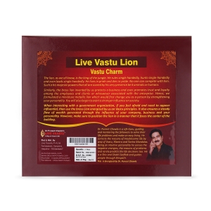 Live Vastu Lion 2