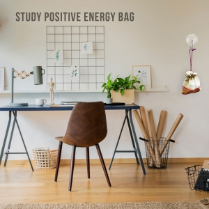 STUDY POSITIVE ENERGY BAG